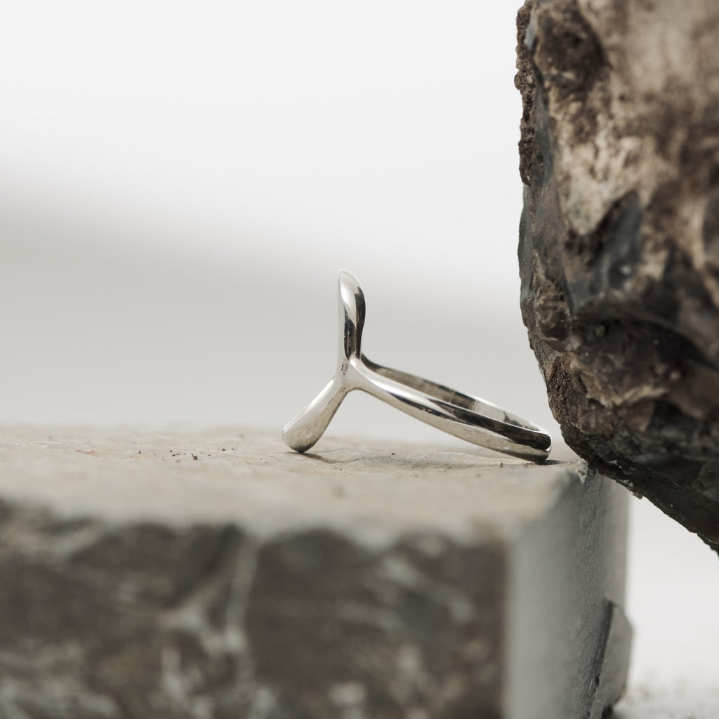 Arctic Circle Ring